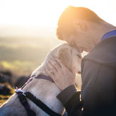 Trainierte Diabeteswarnhunde erschnüffeln Blutzuckerabweichungen bei Typ-1-Diabetes
